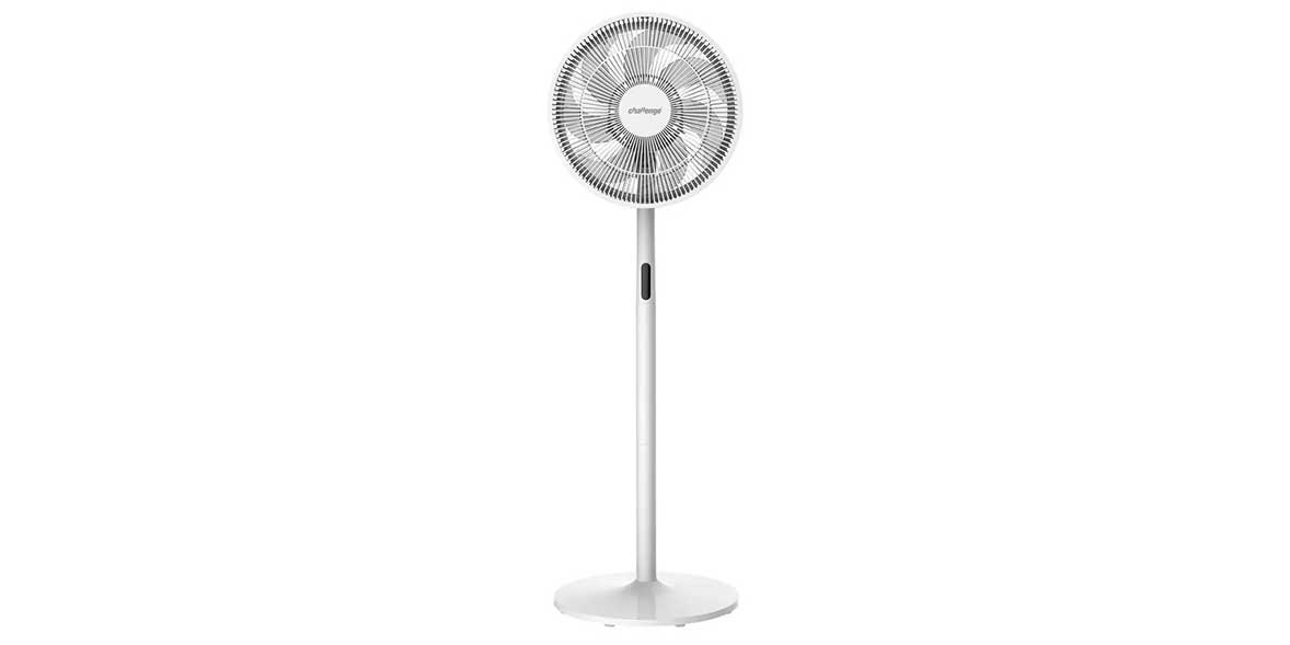 Challenge pedestal fan